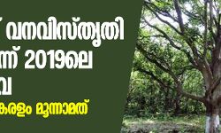 രാജ്യത്ത് വനവിസ്തൃതി കൂടിയെന്ന് 2019ലെ വനസര്‍വേ; പട്ടികയില്‍ കേരളം മൂന്നാമത്