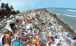 സംസ്ഥാനത്തെ 225 ടൂറിസം അക്കോമഡേഷന്‍ യൂനിറ്റുകള്‍ 19 ഇനം പ്ലാസ്റ്റിക് വസ്തുക്കള്‍ ഒഴിവാക്കും