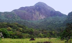 അഗസ്ത്യാര്‍കൂട സന്ദര്‍ശനം: ബുക്കിങ്  എട്ടുമുതല്‍