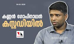 കണ്ണന്‍ ഗോപിനാഥന്‍ കസ്റ്റഡിയില്‍