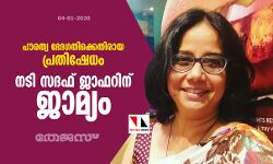 പൗരത്വ ഭേദഗതിക്കെതിരായ പ്രതിഷേധം; നടി സദഫ് ജാഫറിന് ജാമ്യം