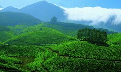 ഇന്ത്യന്‍ മഹാസമുദ്രത്തില്‍ താപനില ഉയര്‍ന്നു; കുളിര് ഓര്‍മയായി കേരളം