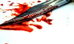 ബസ് ജീവനക്കാരന് വെട്ടേറ്റു