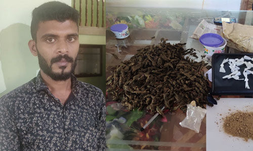 വീട്ടില് സൂക്ഷിച്ച ബ്രൗണ്ഷുഗറും എംഡിഎംഎയും കഞ്ചാവുമായി യുവാവ് പിടിയില് വീട്ടില് സൂക്ഷിച്ച ബ്രൗണ്ഷുഗറും എംഡിഎംഎയും കഞ്ചാവുമായി യുവാവ് പിടിയില്