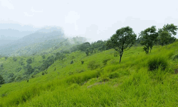 കൊടികുത്തി മലയില് പ്രവേശനത്തിന് മഴക്കാലം വരെ കാത്തിരിക്കണം കൊടികുത്തി മലയില് പ്രവേശനത്തിന് മഴക്കാലം വരെ കാത്തിരിക്കണം