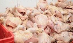 ട്രെയിനിലെത്തിച്ച 608 കിലോ പഴകിയ കോഴിയിറച്ചി പിടികൂടി ട്രെയിനിലെത്തിച്ച 608 കിലോ പഴകിയ കോഴിയിറച്ചി പിടികൂടി