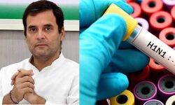 എച്ച്1 എന്1 പനി: രാഹുല്ഗാന്ധി ആരോഗ്യമന്ത്രിക്ക് കത്തയച്ചു എച്ച്1 എന്1 പനി: രാഹുല്ഗാന്ധി ആരോഗ്യമന്ത്രിക്ക് കത്തയച്ചു