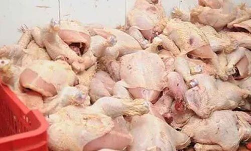 ട്രെയിനിലെത്തിച്ച 608 കിലോ പഴകിയ കോഴിയിറച്ചി പിടികൂടി ട്രെയിനിലെത്തിച്ച 608 കിലോ പഴകിയ കോഴിയിറച്ചി പിടികൂടി