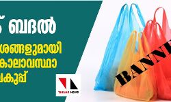 പ്ലാസ്റ്റിക് ബദല്‍: മാര്‍ഗനിര്‍ദേശങ്ങളുമായി പരിസ്ഥിതി കാലാവസ്ഥാ വ്യതിയാന വകുപ്പ്