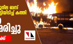 യുപിയില് ഇരുനില ബസ് ട്രക്കുമായി കൂട്ടിയിടിച്ച് കത്തി; 20 പേര് വെന്തുമരിച്ചു, 21 പേര്ക്ക് പരിക്ക് യുപിയില് ഇരുനില ബസ് ട്രക്കുമായി കൂട്ടിയിടിച്ച് കത്തി; 20 പേര് വെന്തുമരിച്ചു, 21 പേര്ക്ക് പരിക്ക്