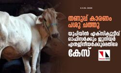 തണുപ്പ് കാരണം പശു ചത്തു; യുപിയില്‍ എക്‌സിക്യുട്ടീവ് ഓഫിസര്‍ക്കും ജൂനിയര്‍ എന്‍ജിനീയര്‍ക്കുമെതിരേ കേസ്