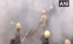 เดกเดฒเตโเดนเดฟเดฏเดฟเดฒเต เดเตเดฐเตเดชเตเดชเตเดจเดฟเดฐเตโเดฎเดพเดฃ เดซเดพเดเตเดเดฑเดฟเดฏเดฟเดฒเตโ เดตเดจเตโ เดคเตเดชเตเดชเดฟเดเดฟเดคเตเดคเด เดกเดฒเตโเดนเดฟเดฏเดฟเดฒเต เดเตเดฐเตเดชเตเดชเตเดจเดฟเดฐเตโเดฎเดพเดฃ เดซเดพเดเตเดเดฑเดฟเดฏเดฟเดฒเตโ เดตเดจเตโ เดคเตเดชเตเดชเดฟเดเดฟเดคเตเดคเด