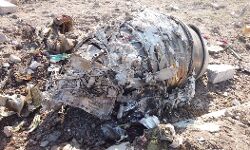 ഉക്രൈന്‍ വിമാനം തകര്‍ന്നുവീണതിന്റെ ദൃശ്യങ്ങള്‍ പുറത്തുവിട്ടയാള്‍ അറസ്റ്റില്‍