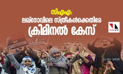 സിഎഎ: ലഖ്‌നോവില്‍ കുത്തിയിരുപ്പ് സമരം നടത്തിയ സ്ത്രീകള്‍ക്കെതിരേ ക്രിമിനല്‍ കേസ്