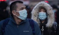 ചൈനയ്ക്ക് പിന്നാലെ അമേരിക്കയിലും കൊറോണ വൈറസ്