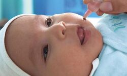 പോളിയോ തുള്ളിമരുന്നു നല്കുന്നത് ജനുവരി 31ലേക്ക് മാറ്റി പോളിയോ തുള്ളിമരുന്നു നല്കുന്നത് ജനുവരി 31ലേക്ക് മാറ്റി