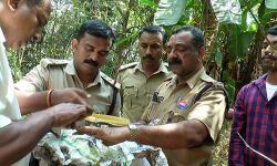 കുഴിമാടത്തില്നിന്ന് മോഷണസ്വര്ണം കണ്ടെത്തി കടയ്ക്കാവൂര് പോലിസ് കുഴിമാടത്തില്നിന്ന് മോഷണസ്വര്ണം കണ്ടെത്തി കടയ്ക്കാവൂര് പോലിസ്