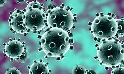 കൊറോണ: ആലപ്പുഴയില്‍ ചികില്‍സയിലായിരുന്ന വിദ്യാര്‍ഥി ആശുപത്രി വിട്ടു