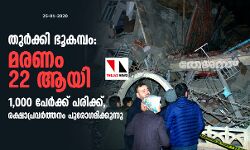 തുര്‍ക്കി ഭൂകമ്പം: മരണം 22 ആയി; 1,000 പേര്‍ക്ക് പരിക്ക്, രക്ഷാപ്രവര്‍ത്തനം പുരോഗമിക്കുന്നു