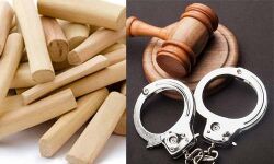 ചന്ദനക്കടത്ത്: വനപാലകന്റെ ഭാര്യയും ബന്ധുക്കളും അറസ്റ്റില്‍