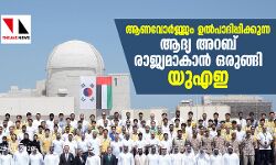 ആണവോര്‍ജ്ജം ഉല്‍പാദിപ്പിക്കുന്ന ആദ്യ അറബ് രാജ്യമാകാന്‍ ഒരുങ്ങി യുഎഇ