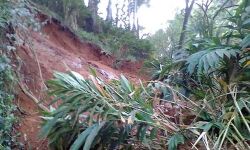 കല്ലാര്‍- മാങ്കുളം റോഡില്‍ മണ്ണിടിച്ചില്‍; ഗതാഗതം തടസ്സപ്പെട്ടു