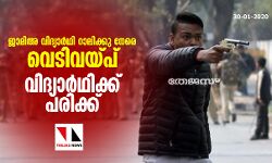 ജാമിഅ വിദ്യാര്‍ഥി റാലിക്കു നേരെ വെടിവയ്പ്; വിദ്യാര്‍ഥിക്ക് പരിക്ക് (വീഡിയോ)