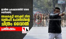 ജാമിഅ പ്രക്ഷോഭത്തിന് നേരെ വെടിവയ്പ്പ്;  കൈകെട്ടി നോക്കി നിന്ന ഡല്‍ഹി പോലിസിന്റെ ചിത്രം വൈറല്‍; പ്രതിഷേധം