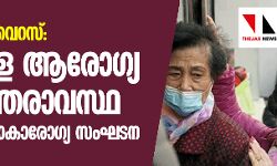 കൊറോണ വൈറസ്: ആഗോള ആരോഗ്യ അടിയന്തരാവസ്ഥ പ്രഖ്യാപിച്ച് ലോകാരോഗ്യ സംഘടന