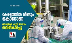 കേരളത്തില്‍ വീണ്ടും കൊറോണ; ഒരാള്‍ക്ക് കൂടി രോഗം സ്ഥിരീകരിച്ചു