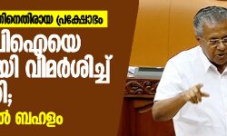 എസ്ഡിപിഐയെ രൂക്ഷമായി വിമർശിച്ച് മുഖ്യമന്ത്രി; നിയമസഭയിൽ ബഹളം