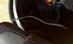 ഹെല്‍മറ്റില്‍ വിഷപ്പാമ്പുമായി സഞ്ചരിച്ചത് 11 കിലോമീറ്റര്‍; അധ്യാപകന്‍ രക്ഷപ്പെട്ടത് തലനാരിഴയ്ക്ക്