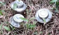 കണ്ണൂര് ചൊക്ലിയില് മൂന്ന് സ്റ്റീല് ബോംബുകള് കണ്ടെത്തി കണ്ണൂര് ചൊക്ലിയില് മൂന്ന് സ്റ്റീല് ബോംബുകള് കണ്ടെത്തി