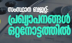 സംസ്ഥാന ബജറ്റ്: പ്രഖ്യാപനങ്ങൾ ഒറ്റനോട്ടത്തിൽ