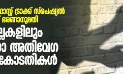 28 പോക്‌സോ ഫാസ്റ്റ് ട്രാക്ക് സ്‌പെഷ്യല്‍ കോടതികള്‍ക്ക് ഭരണാനുമതി