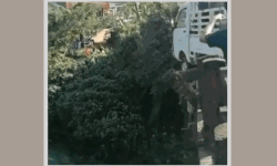 മുക്കം പാലത്തില്‍ പിക്കപ്പ് വാന്‍ ഇടിച്ചു; വന്‍ അപകടം ഓഴിവായത് തലനാരിഴക്ക് (വീഡിയോ)