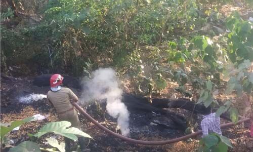 പരപ്പനങ്ങാടി റെയില്വേ സ്റ്റേഷന് പരിസരത്ത് തീപ്പിടിത്തം പരപ്പനങ്ങാടി റെയില്വേ സ്റ്റേഷന് പരിസരത്ത് തീപ്പിടിത്തം