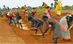 ദേശീയ തൊഴിലുറപ്പ് പദ്ധതി കുടിശ്ശിക: വ്യക്തമായ മറുപടിയില്ലാതെ കേന്ദ്രം