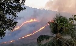 പെരിന്തല്‍മണ്ണ മണ്ണാര്‍ മലയില്‍ വന്‍ തീപിടിത്തം