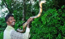 പാമ്പുകടിയേറ്റ് വാവ സുരേഷ് ആശുപത്രിയിൽ