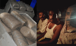 പാലക്കാട്-തൃശൂര്‍ അതിര്‍ത്തിയില്‍ ചരക്ക് ലോറിയില്‍ കടത്തിയ 60 കിലോ കഞ്ചാവ് പിടികൂടി