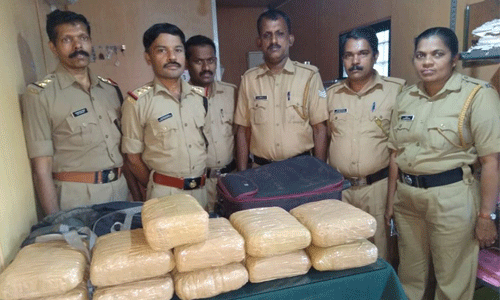 കെഎസ്ആര്ടിസി ബസില് കടത്തിയ 22 കിലോ കഞ്ചാവ് പിടികൂടി; പ്രതി ബസില് നിന്ന് ഇറങ്ങിയോടി കെഎസ്ആര്ടിസി ബസില് കടത്തിയ 22 കിലോ കഞ്ചാവ് പിടികൂടി; പ്രതി ബസില് നിന്ന് ഇറങ്ങിയോടി