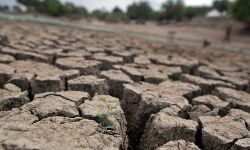 സംസ്ഥാനത്ത് ഈവര്‍ഷം വരള്‍ച്ച രൂക്ഷമാവുമെന്ന് മുന്നറിയിപ്പ്