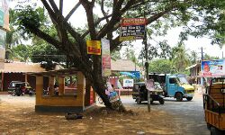 മംഗലം പഞ്ചായത്ത് പ്രസിഡന്റിനെതിരേ അവിശ്വാസ പ്രമേയത്തിന് നോട്ടീസ്