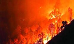 തൃശൂരില് കാട്ടുതീയില് രണ്ട് വനപാലകര് മരിച്ചു തൃശൂരില് കാട്ടുതീയില് രണ്ട് വനപാലകര് മരിച്ചു