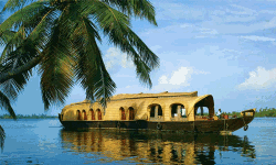 അനധികൃത ഹൗസ് ബോട്ടുകള്‍ക്ക് കുരുക്ക് വീഴും; കര്‍ശന നടപടിയെടുക്കാന്‍ സര്‍ക്കാര്‍ തീരുമാനം