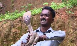 വാവ സുരേഷിന്റെ ചികില്സയ്ക്ക് പ്രത്യേക മെഡിക്കല് ബോര്ഡ്; ആന്റിവെനം നല്കിയത് നാലുതവണ വാവ സുരേഷിന്റെ ചികില്സയ്ക്ക് പ്രത്യേക മെഡിക്കല് ബോര്ഡ്; ആന്റിവെനം നല്കിയത് നാലുതവണ