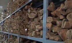 കോന്നി സർക്കാർ തടി ഡിപ്പോയിൽ ചന്ദനത്തടി ചില്ലറ വിൽപന ആരംഭിച്ചു