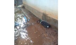 3500 കുടുംബങ്ങള്‍ക്കു വേണ്ടി നിര്‍മിച്ച ജലനിധി പദ്ധതിയില്‍ കുടിവെള്ളം ലഭിക്കുന്നില്ല