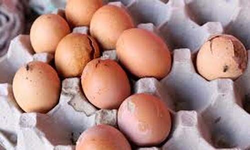 ബേക്കറി നിര്‍മാണ യൂനിറ്റില്‍നിന്ന് പുഴുവരിച്ച കോഴിമുട്ടകള്‍ പിടിച്ചെടുത്തു